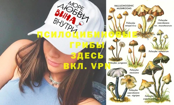 крисы Арсеньев