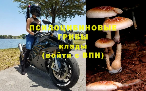 крисы Арсеньев
