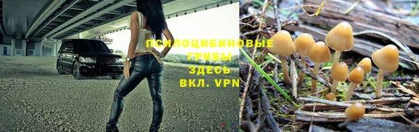 apvp Балахна