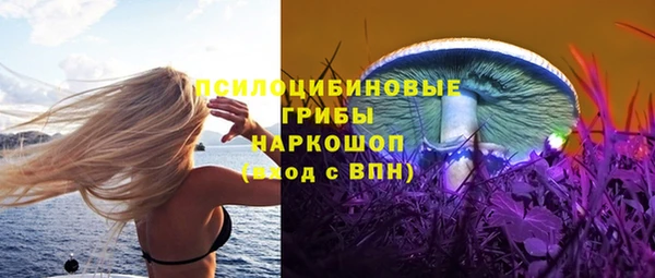 крисы Арсеньев