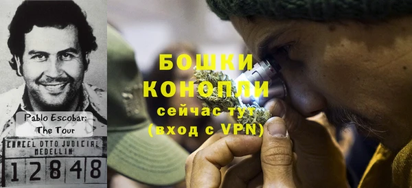 крисы Арсеньев